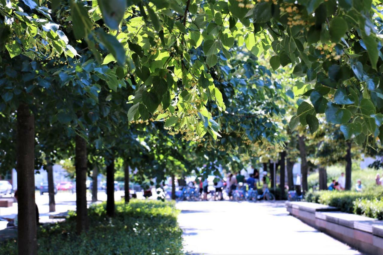 Cozy And Great Location By Cooee Apartments 바르샤바 외부 사진